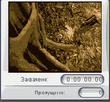 ���� � ���� ����� ���������� �����������