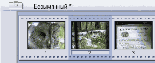 ������ ��� ������ ����� ��������