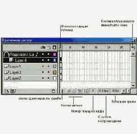 ���� Timeline