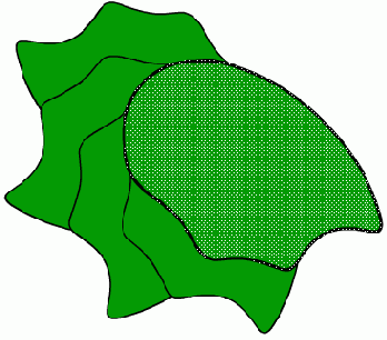 ������ ������������ ����������