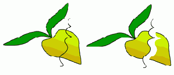 ����� ������������ ���������� � ������������ ������ ��������� ��� �� ��������� �������