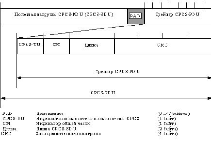 ����� ����� �� AAL 