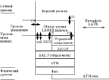 ����� �������� ������� LANE