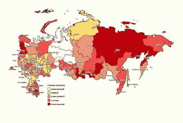 ������� ���������� ��������� ������������ �������� �� ����������