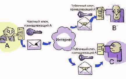 ������������� ����������