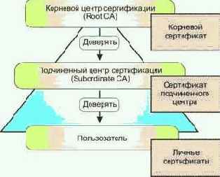 ������ ������������