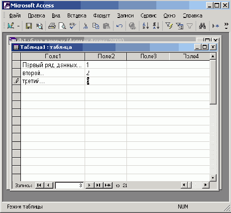 ���� ������ Access