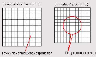 ��� ������ �� ������ ������� 