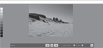 ����� ������� �������