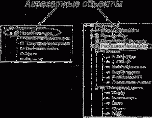 II�������� ������� �������