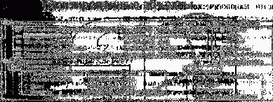 ���� ������ ������������ � ������� �:�����������