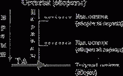 IX ������ ���������� ������������� ����� � ������� :�����������