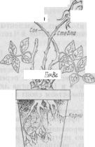 �.�. �������, �.�. ������� - ��������������� ������ � ����������