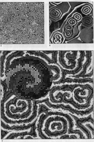 �������, �. �������� - ������ ��������� ���������