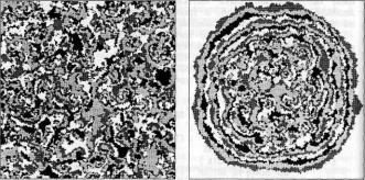 �������, �. �������� - ������ ��������� ���������