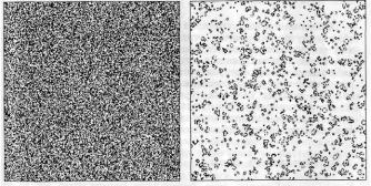 �������, �. �������� - ������ ��������� ���������