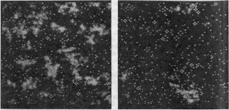 �������, �. �������� - ������ ��������� ���������