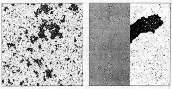 �������, �. �������� - ������ ��������� ���������