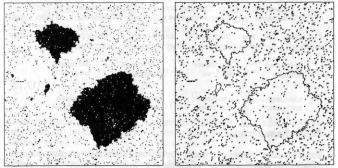 �������, �. �������� - ������ ��������� ���������