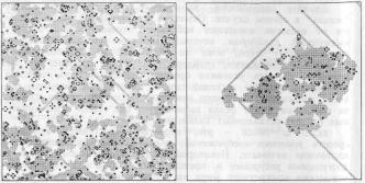 �������, �. �������� - ������ ��������� ���������