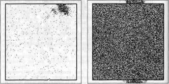 �������, �. �������� - ������ ��������� ���������