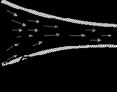 ���� �������� (�������) ��������