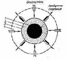 Котельные установки промышленных предприятий