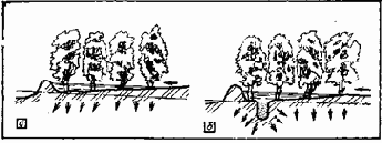 Устройство и эксплуатация водозаборов