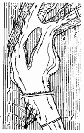 Устройство и эксплуатация водозаборов