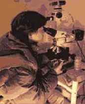 Энергия воды для самопознания и исцеления