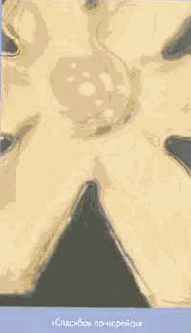 Энергия воды для самопознания и исцеления