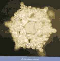 Энергия воды для самопознания и исцеления