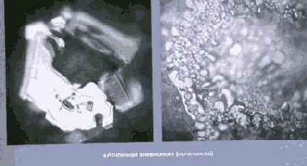 Энергия воды для самопознания и исцеления