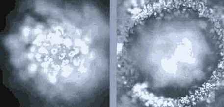 Энергия воды для самопознания и исцеления