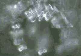 Энергия воды для самопознания и исцеления