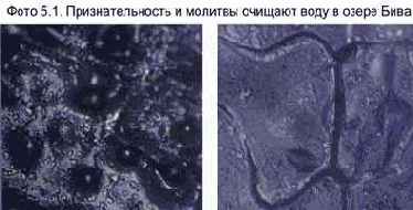 Энергия воды для самопознания и исцеления