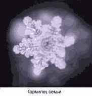 Энергия воды для самопознания и исцеления