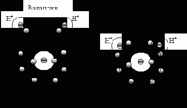 ���� � �� ���������� � ����������� �����������