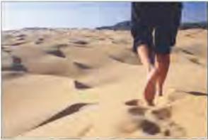 ������� �. - ������� ���� ������������ ���