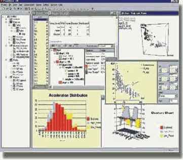 PolyAnalyst Workplace - ����������� ���������