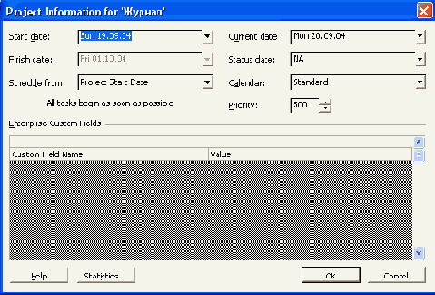 Окно Project Information (Сведения о проекте)