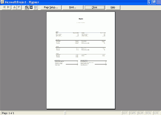 Окно предварительного просмотра отчета