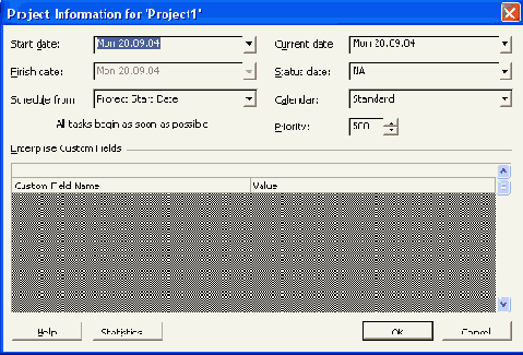 Окно Project Information (Сведения о проекте)