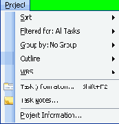 ���� Project (������)