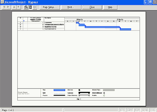 ���� Print Preview (��������������� ��������)
