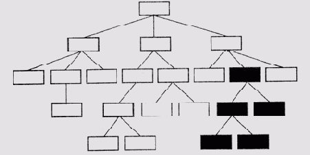 ���������������� �������������� ������� � INTERNIST