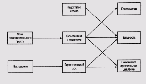 �����, ������� � ����