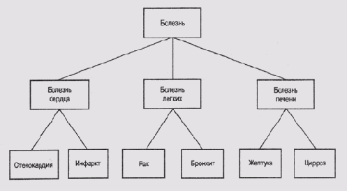 �����, ������� � ����