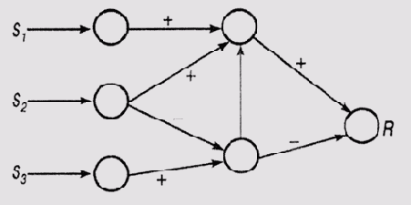 � ����� ���� ����� ������� 