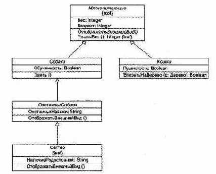 ������� ������������